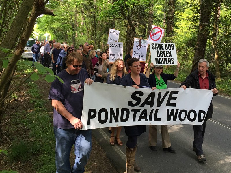 Pondtail Wood - Update
